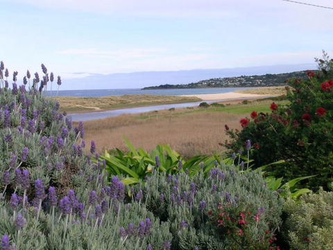A Great Ocean View Motel - Tourism Guide 7
